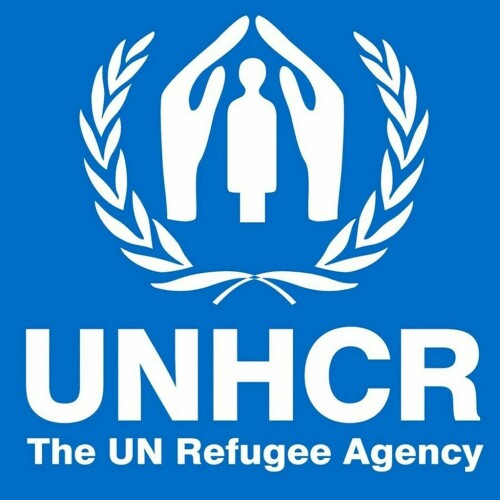 UN refugee agency says record 117mn people forcibly displaced in 2023