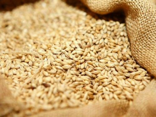 Lebanon buys about 63,000 T wheat sourced from Ukraine, traders say