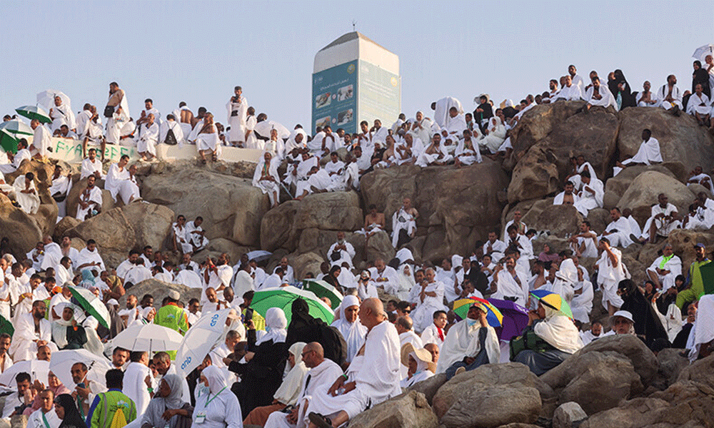 Muslim pilgrims pray on Mount Arafat in Hajj climax