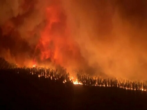 Turkiye wildfire toll hits 15 as experts flag faulty wires