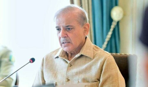 Operation Azm-e-Istehkam to energise IBOs without population displacement: PM Shehbaz
