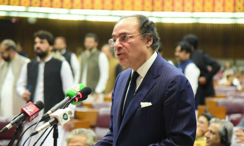 Budget 2024-25: a mixed bag for Pakistan&rsquo;s climate change efforts