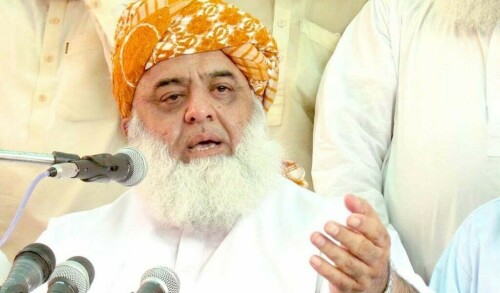Fazl demands fresh polls without &lsquo;establishment&rsquo;s interference&rsquo;