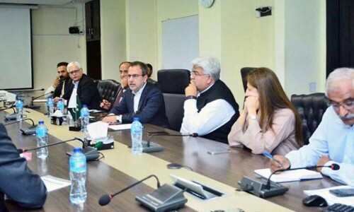 حکومت کا آئی پی پیز کے ساتھ معاہدوں کے آڈٹ کا حکم