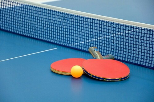 India not content with just qualifying for team events at Paris Games, says coach