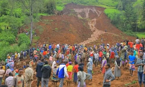 Death toll from Ethiopia landslide rises to 146: local official