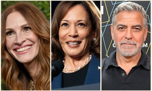 &lsquo;kamala IS brat&rsquo;: Pop world backs Harris