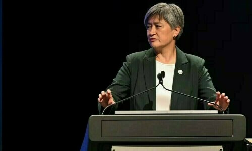 Australian foreign minister condemns Russia-North Korea ties after DMZ visit