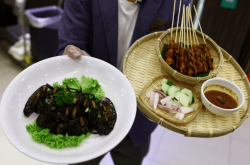 Crickets get crunchy as Singapore approves edible insects amid food security push