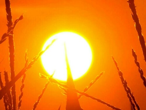 China records hottest month in recent history