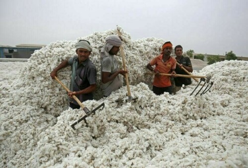 Cotton import: all set to double again?
