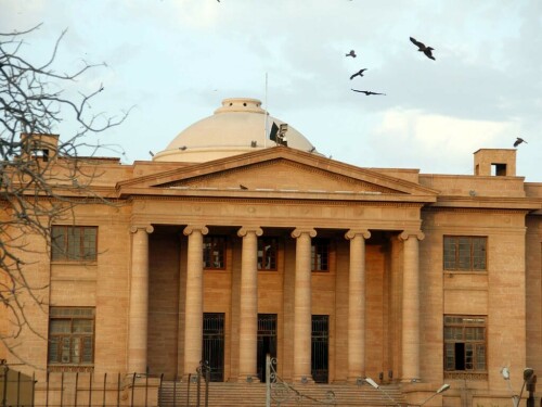 Transfer to FBR admin pool: SHC dismisses plea of 12 senior IR officials