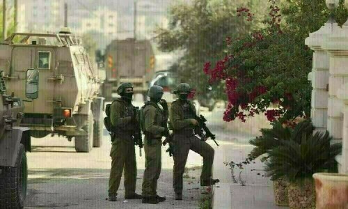 Ten Palestinians killed in Israeli operation in West Bank: Red Crescent