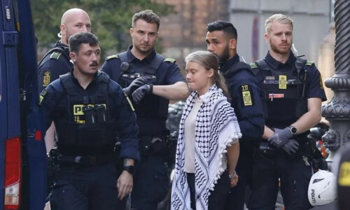 Greta Thunberg arrested at pro-Palestinian demo in Denmark