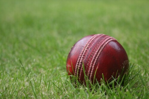 Afghanistan’s Naveed Zadran to miss New Zealand Test due to injury Afghanistan’s Naveed Zadran to miss New Zealand Test due to injury