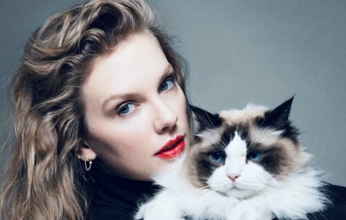 Taylor Swift endorses Kamala Harris for president in post signed &lsquo;Childless Cat Lady&rsquo;