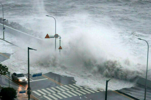 Typhoon Bebinca lands in Shanghai, strongest storm to hit city since 1949