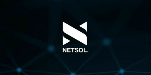NetSol in FY24