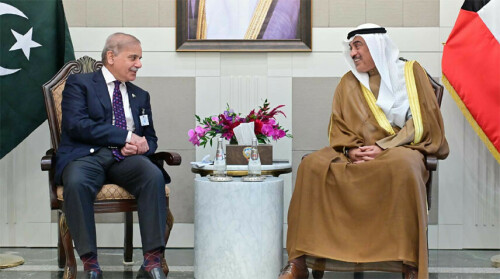 PM Shehbaz, Crown Prince of Kuwait discuss bilateral ties
