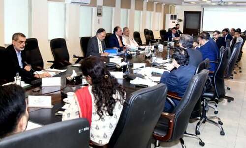 PNSC declared &lsquo;strategic&rsquo;: TCP, Smeda categorised as &lsquo;essential&rsquo; SOEs