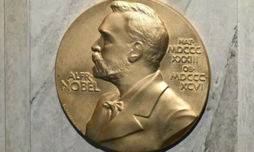 2024 Nobels offer glimmer of hope as global crises mount