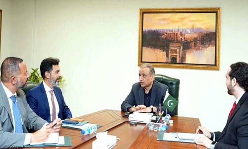 پاکستان سوورن ویلتھ فنڈ میں بھاری سرمایہ کاری متوقع