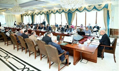 کابینہ نے فلسطین، لبنان میں امداد کیلئے وزیراعظم ریلیف فنڈ قائم کرنے کی منظوری دیدی