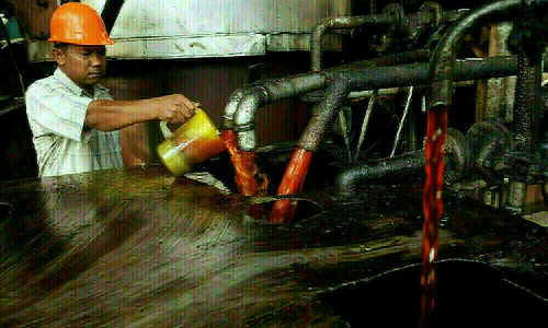 India&rsquo;s September palm oil imports fell over 33% m/m, trade body says