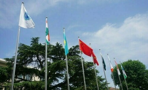 خطے میں شنگھائی تعاون تنظیم کے کردار کا ازسرنو تصور