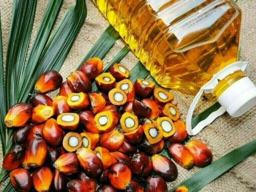 Palm extends decline on lower crude prices, weak rival oils Palm extends decline on lower crude prices, weak rival oils