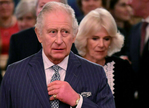 Britain&rsquo;s King Charles meets cheering Australian crowds, says &lsquo;great joy&rsquo; to return