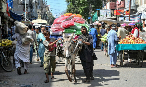 Modern pressures burden Pakistan&rsquo;s donkey business