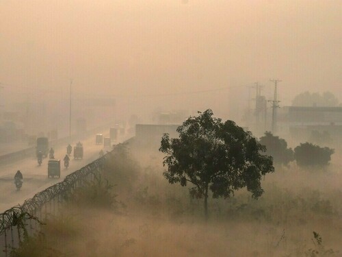 Our cities becoming least livable