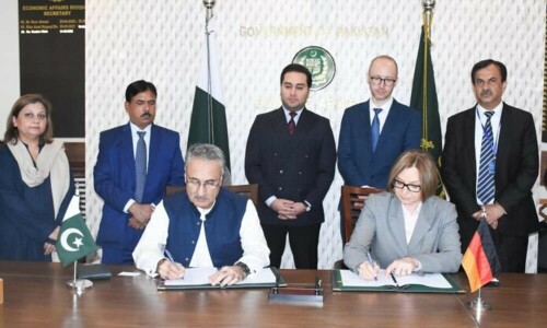 جرمنی بلین ٹری کیلئے 20 ملین یورو فراہم کرے گا