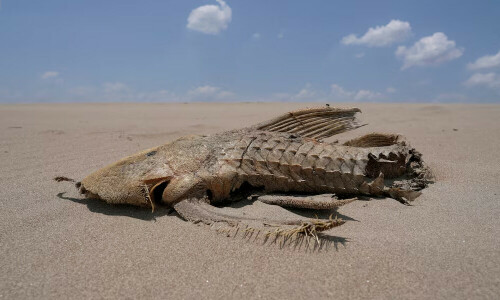 2024 will be world’s hottest on record, EU scientists say 2024 will be world’s hottest on record, EU scientists say