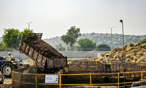 Sacred cow: coal-hungry India eyes bioenergy to cut carbon
