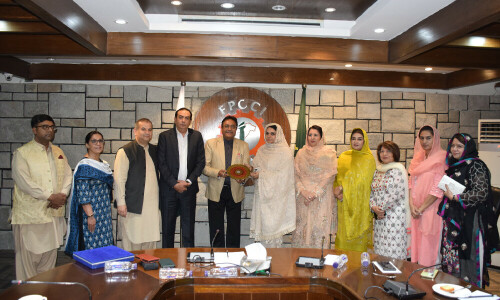 Call to revise Pakistan&rsquo;s e-commerce policy urgently