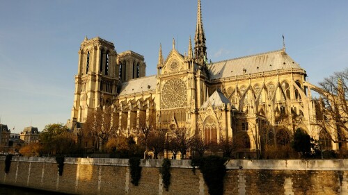 From Joan of Arc to wine cellar: Notre Dame in five dates