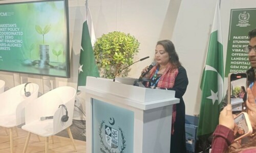 ملک کی پہلی قومی کاربن مارکیٹ پالیسی کا اعلان