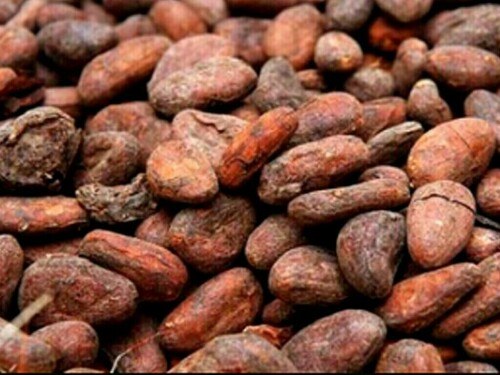 Ivory Coast 2024/25 cocoa arrivals up 32% as of Nov.17