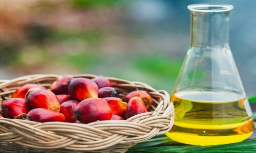 Palm edges lower on weaker export demand and Chicago soyoil prices