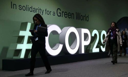 COP29 agrees deal to kick-start global carbon credit trading