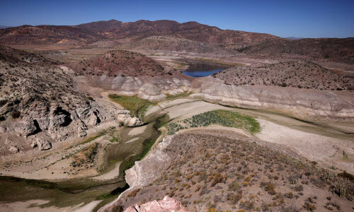 UN calls for $2.6 trillion investment to reverse land degradation