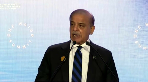 PM Shehbaz calls for strong political will, global leadership to combat water crisis