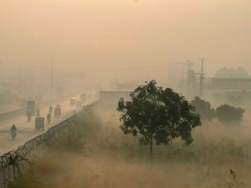 ‘Smogged Down’: Pakistan’s fight for clean air ‘Smogged Down’: Pakistan’s fight for clean air
