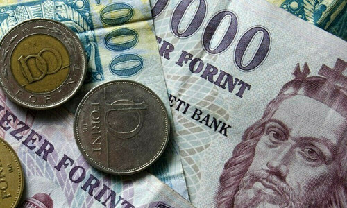 Forint steady before Hungarian rate decision, zloty eases