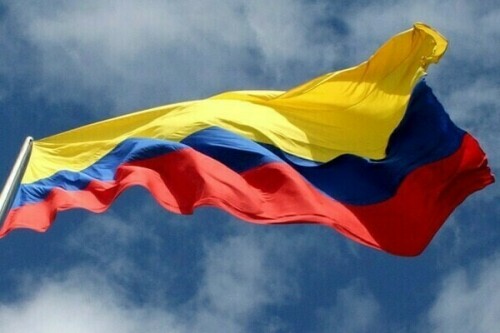 Colombia&rsquo;s central bank board seen making 50 bp cut at last 2024 meeting