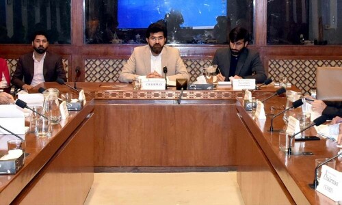 UAE visa restrictions do not imply &lsquo;a complete denial&rsquo;, Senate committee told