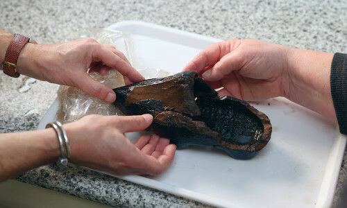 Dutch discover rare 500-year old wooden shoe