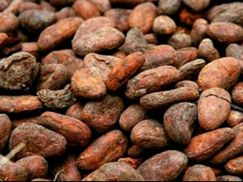 Cocoa tops global commodities rally for 2nd year, steel ingredients struggle on China demand